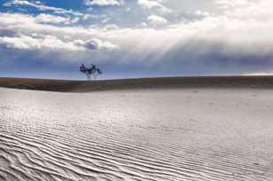 Mesquite Dunes-0215